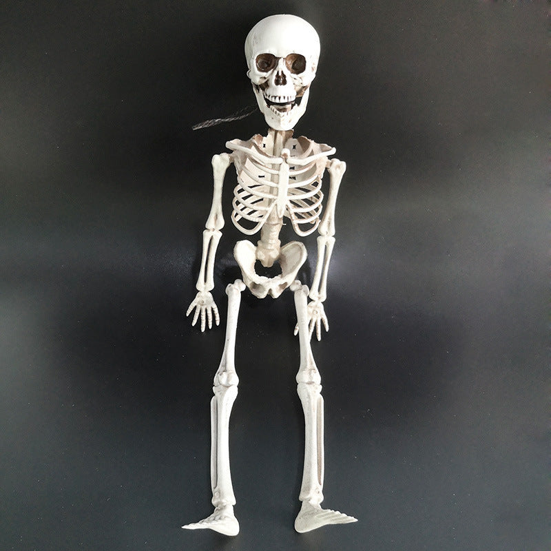 Halloween skeleton