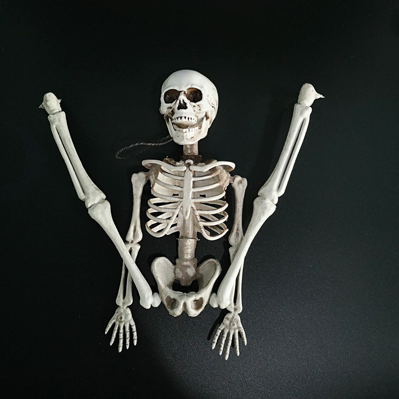 Halloween skeleton